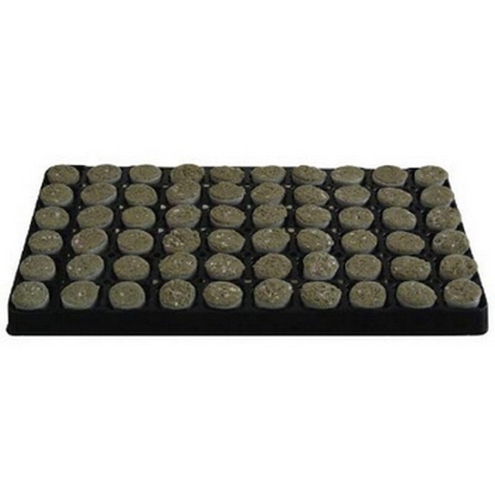 Cloning Tray Rockwool Paperbus 34 - 1