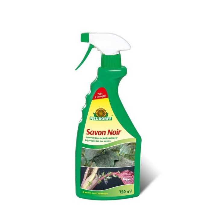 Neudorf Savon Noir - 1