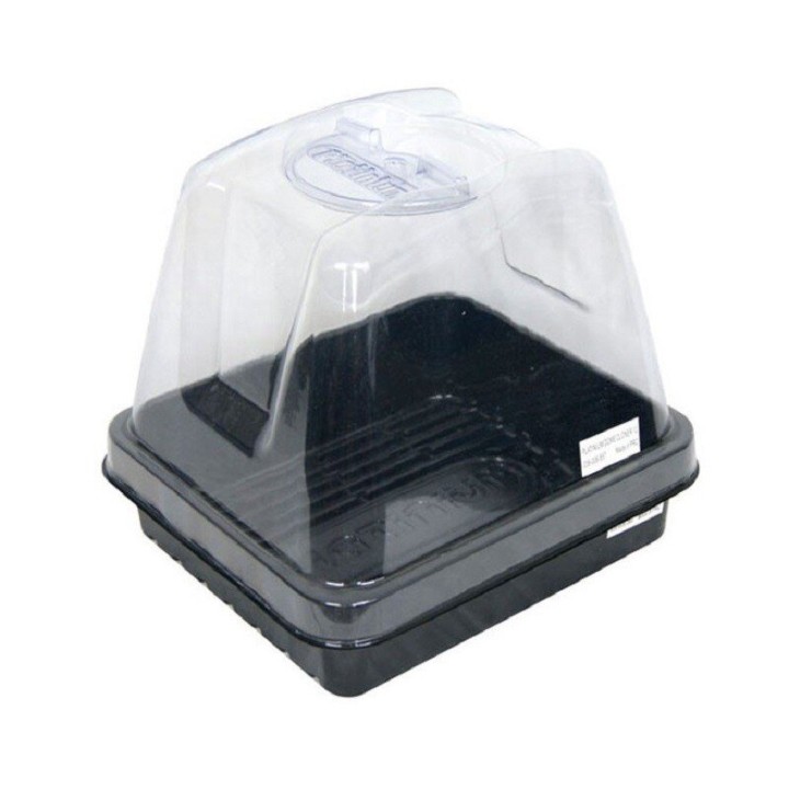 Mini Serre Propagator 24 x 21 cm  1 - Boutures / Germination