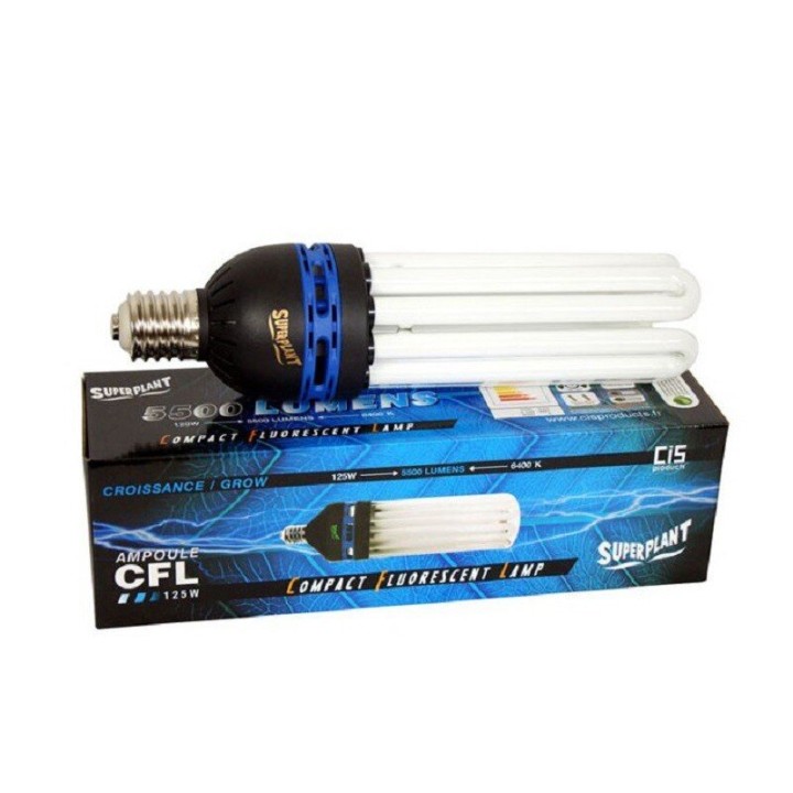 Superplant 125W 6400K CFL grow lamp high lumen output | Eco Bulb