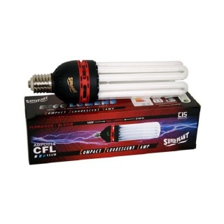 Superplant 125W 2100K CFL floraison économique lumens élevés | Ampoule Eco