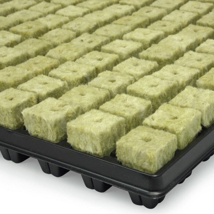 Grodan Cutting Tray 77 pcs young plant production | Cloning