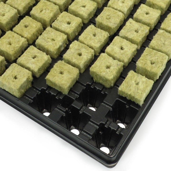 Grodan Cutting Tray 77 pcs substrate detail close-up | Cloning