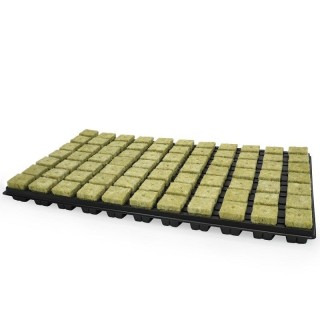 Grodan Cutting Tray 77 pcs rockwool propagation cubes | Cloning