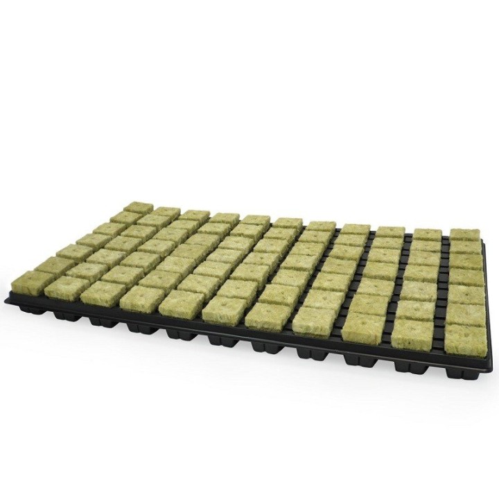 Grodan Cutting Tray 77 pcs rockwool propagation cubes | Cloning