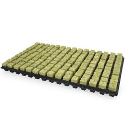 Grodan Stekplaat 150 Stuks