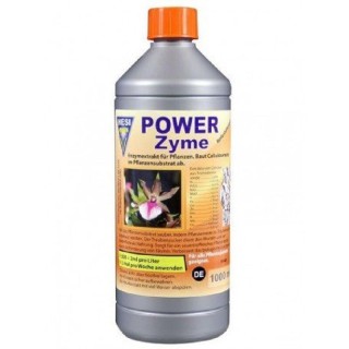 Hesi Pro-Line Power Zym 1l enzyme extract root soil health | Hesi