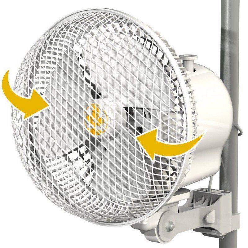 Secret Jardin Monkey Fan Oscillant à Billes Secret Jardin Monkey Fan Oscillant à Billes
