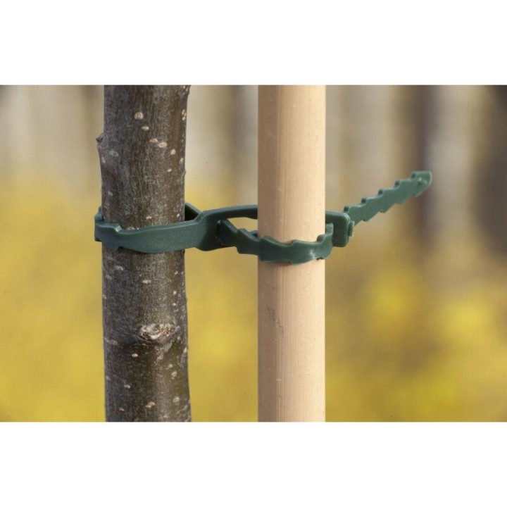 Plantenbinders 11.5cm x70 ondersteuning groei stevig praktisch | Diversen