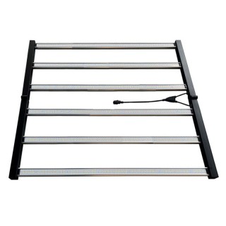 LED Dream Catcher 720 Watt - 1