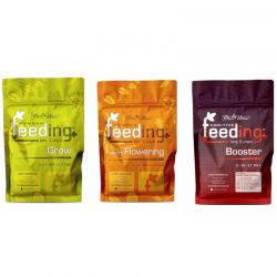 Green House Pack Hybrids XL - 1