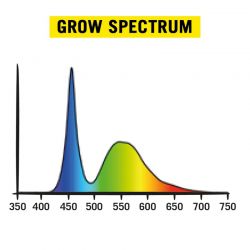 Secret Jardin Cosmorrow 40 Watt Groei