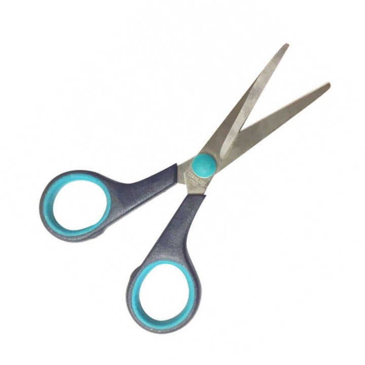 Schaar Met Fijne Punt - 1