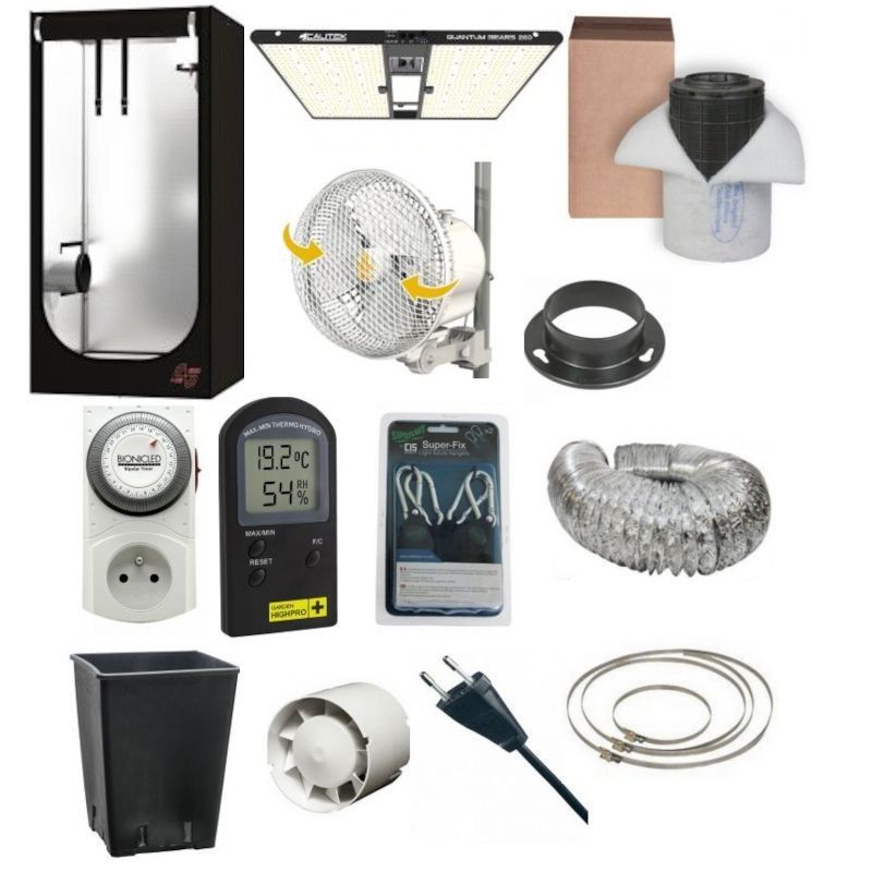 Pack Pro Calitek Quantum Bears 260 Pack Pro Calitek Quantum Bears 260
