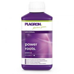 Plagron Power Roots 0.25l