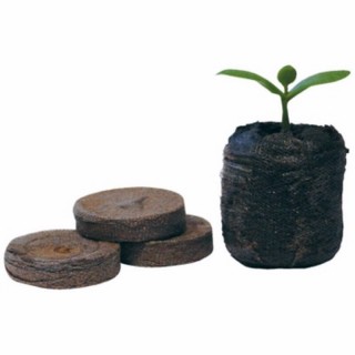 Jiffy 7 Tourbe 41mm x20 motte bouturage semis tout-en-un | Boutures / Germination