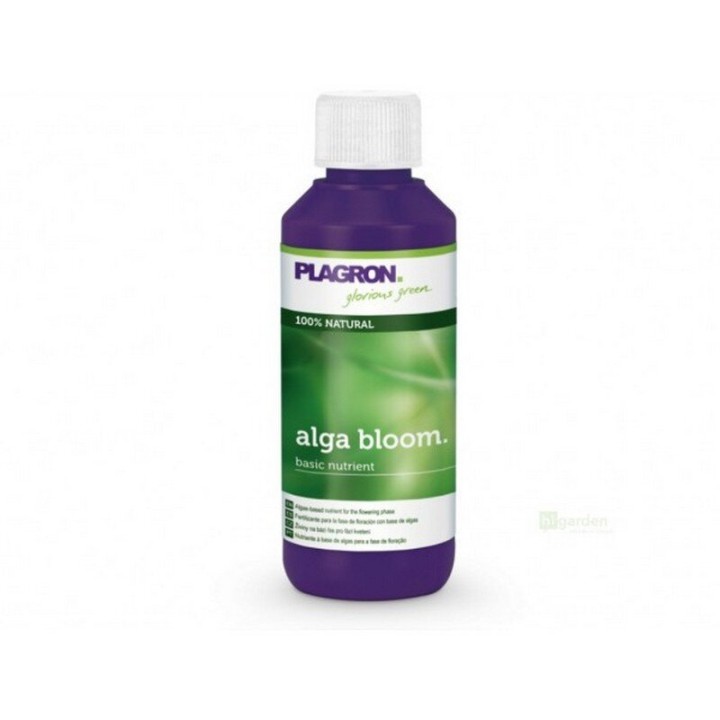 Plagron Alga Bloom 0.1l - 1