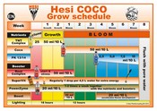 grow schedule hesi coco