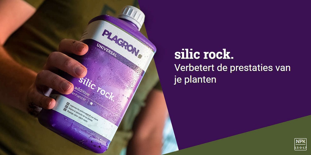 plagron silic rock