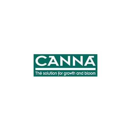 Canna